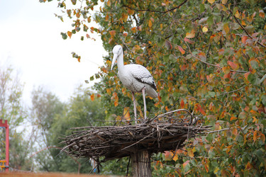 Similar image 6624334