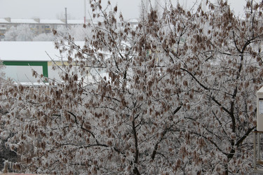 Similar image 6624335