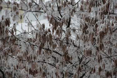 Similar image 6624336