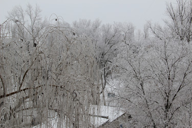 Similar image 6624338