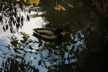 Similar image 6624339