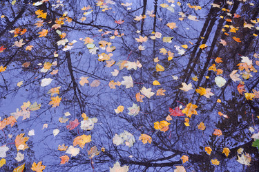 Similar image 6624348