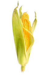 Similar image 6624356