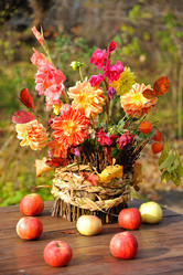 Similar image 6624362