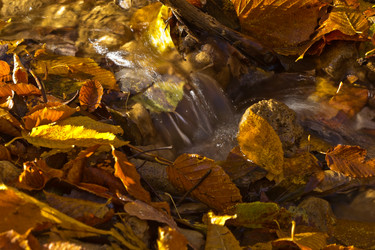 Similar image 6624393