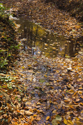 Similar image 6624394