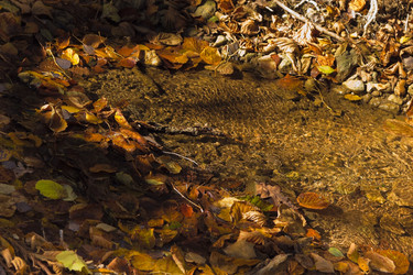 Similar image 6624395