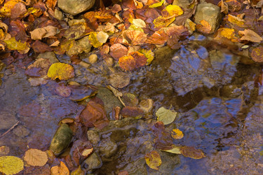 Similar image 6624396