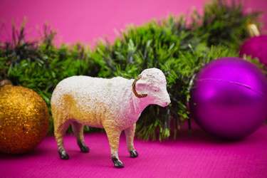 Similar image 6624431