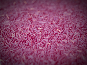 Similar image 6624497