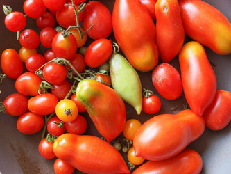 Similar image 6624521