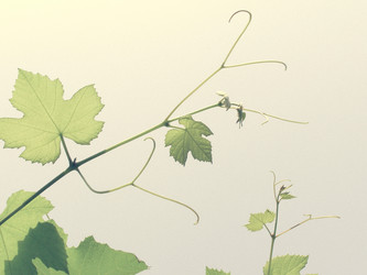 Similar image 6624569