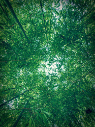 Similar image 6624584