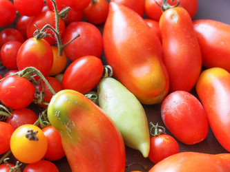 Similar image 6624596