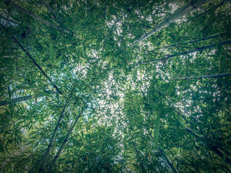 Similar image 6624665