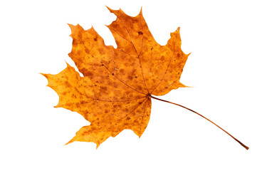 Similar image 6624680