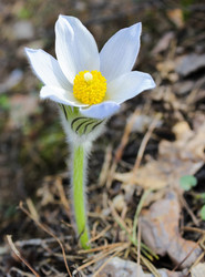 Similar image 6624685