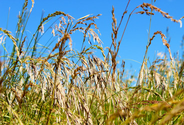 Similar image 6624686