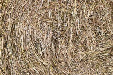 Similar image 6624688