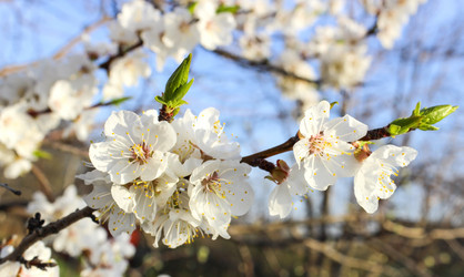 Similar image 6624696