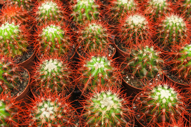 Similar image 6624698