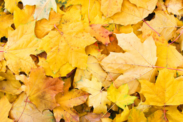 Similar image 6624709