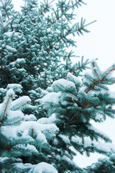 Similar image 6624714