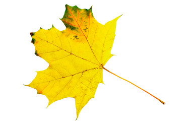 Similar image 6624733