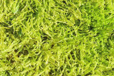 Similar image 6624737