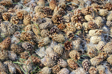 Similar image 6624739