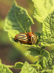 Similar image 6624745