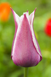 Similar image 6624747