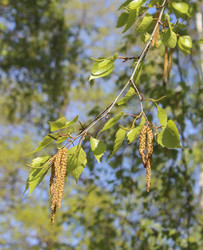 Similar image 6624749