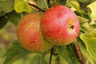 Similar image 6624750