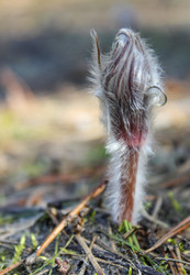 Similar image 6624752