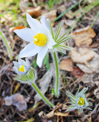 Similar image 6624753