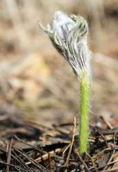 Similar image 6624758