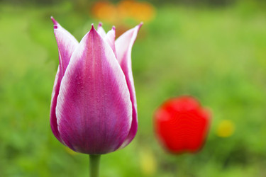 Similar image 6624761