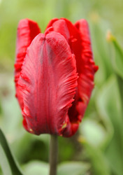 Similar image 6624762