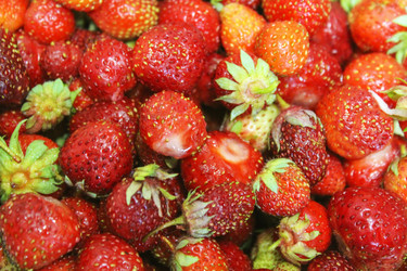 Similar image 6624772