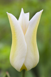 Similar image 6624779