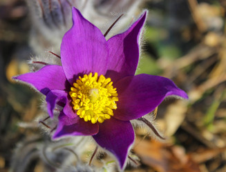 Similar image 6624783