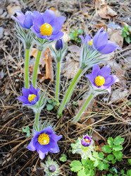 Similar image 6624785