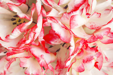 Similar image 6624790