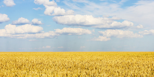 Similar image 6624805