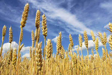 Similar image 6624810