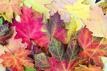 Similar image 6624811