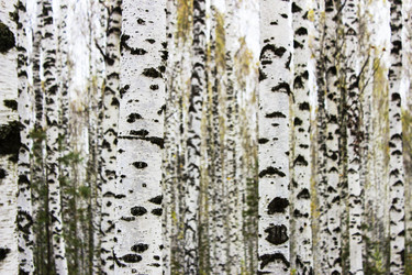 Similar image 6624813