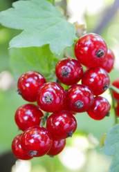 Similar image 6624815