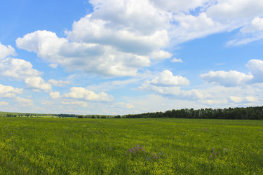 Similar image 6624823